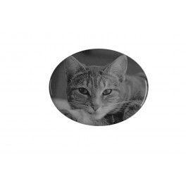 Médaillon porcelaine oval 11*15 noir et blanc