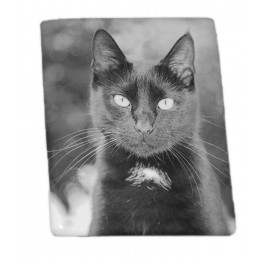 Médaillon porcelaine rectangle18*24 noir et blanc