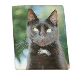 Médaillon porcelaine rectangle 18*24