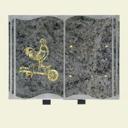 Plaque avec brouette et coq 40*30