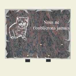 Plaque avec chat 40*30