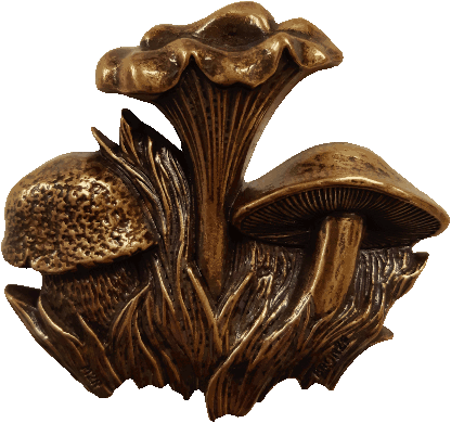 champignons