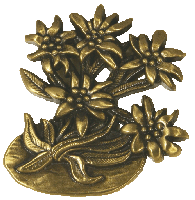 Fleur Edelweiss