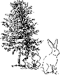 ArbreChampignonsLievre