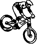 BMX1