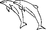 2 Dauphins