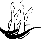 Logo Nageurs