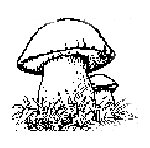 cepes2