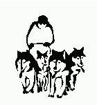 chiens de traineau 2