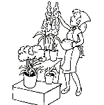 jardiniere