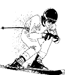 skieur