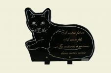 chat